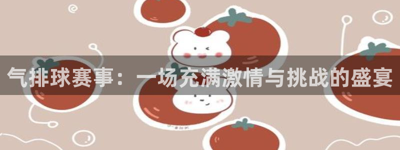 气排球赛事：一场充满激情与挑战的盛宴