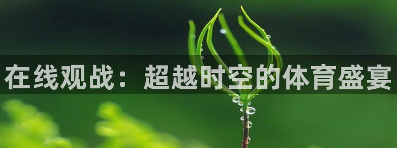 在线观战：超越时空的体育盛宴