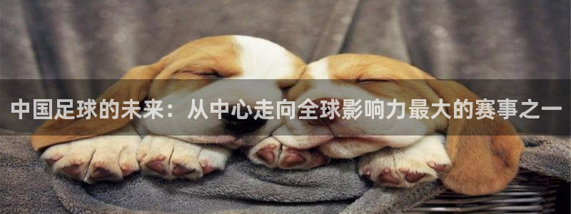 中国足球的未来：从中心走向全球影响力最大的赛事之一